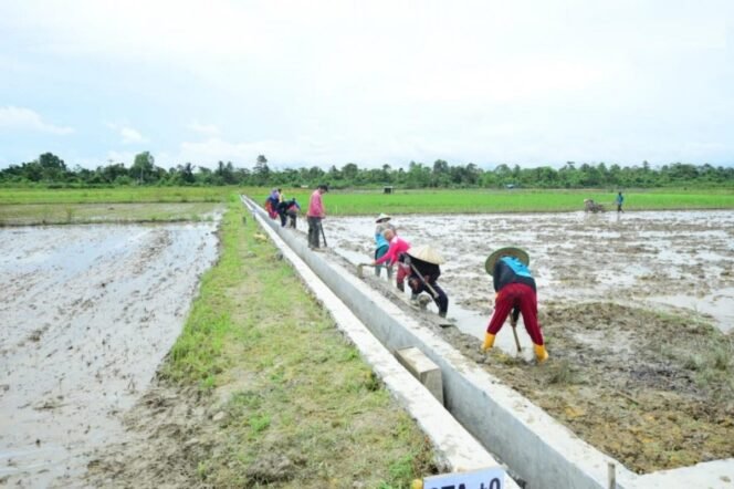 
					Pembangunan infrastruktur pertanian di Pandeglang melalui program BBWSC Banten mendapat apresiasi dari Badak Banten. (Foto/istimewa)