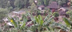 Suasana camping keluarga di Agro Wisata Panenjoan, Desa Cikeusal.