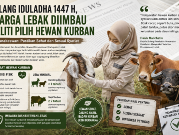 Petugas kesehatan hewan memeriksa kondisi kambing kurban dalam ilustrasi edukatif terkait imbauan Disnakeswan Lebak agar masyarakat memastikan hewan kurban sehat, tidak cacat, dan memenuhi syariat Islam menjelang Hari Raya Iduladha 1447 Hijriah. Foto: ilustrasi