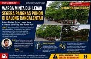 Kolase suasana Balong Rancalentah, Rangkasbitung, Kabupaten Lebak, yang menampilkan kondisi pepohonan rindang di sekitar area wisata. Warga meminta DLH Kabupaten Lebak segera melakukan pemangkasan karena pohon dinilai menutupi cahaya lampu jalan dan membuat area menjadi gelap saat malam hari.