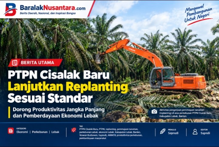 PTPN Cisalak Baru Lanjutkan Replanting Sesuai Standar: Wujudkan Produktivitas Jangka Panjang dan Berdayakan Ekonomi Lebak