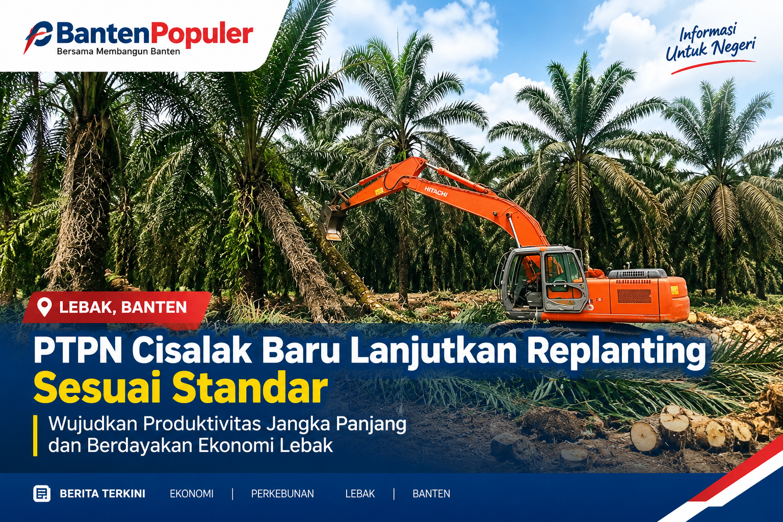 PTPN Cisalak Baru Lanjutkan Replanting Sesuai Standar: Wujudkan Produktivitas Jangka Panjang dan Berdayakan Ekonomi Lebak